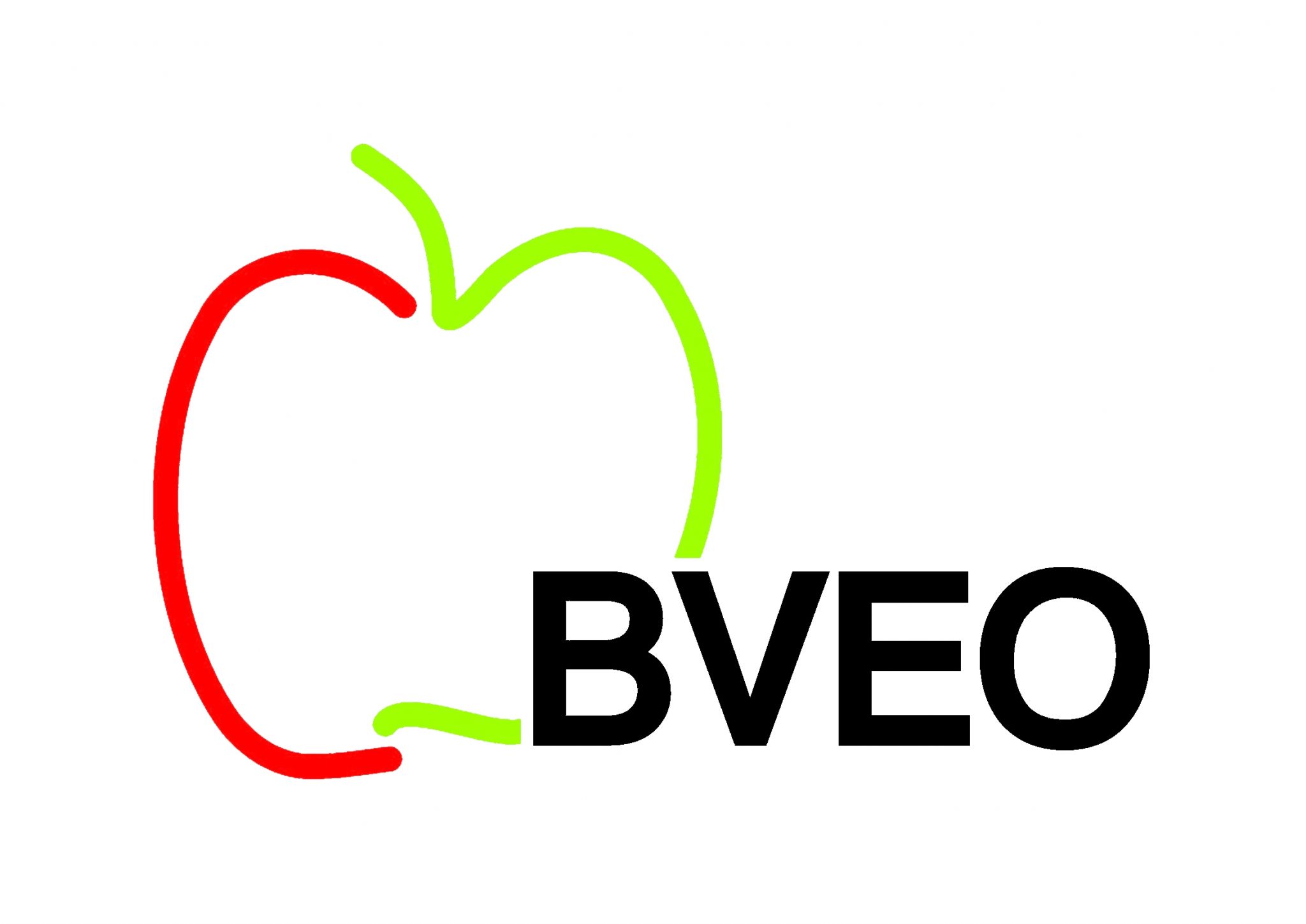 LOGO BVEO